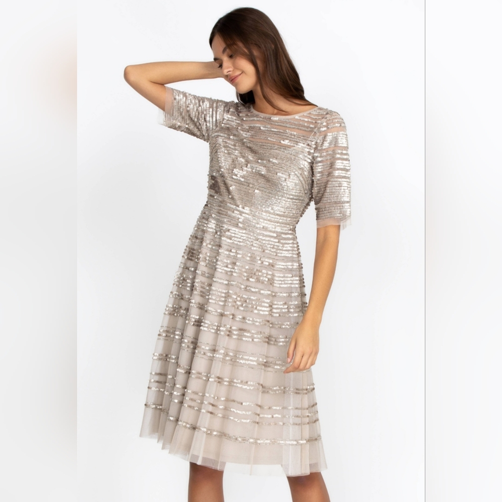 Johnny Was Champagne Beaded Mesh Stunning Dress